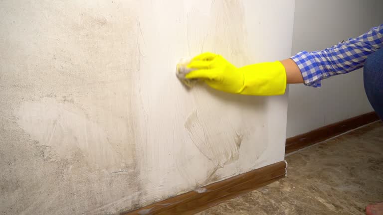 Best Commercial Mold Inspection  in Southaven, MS